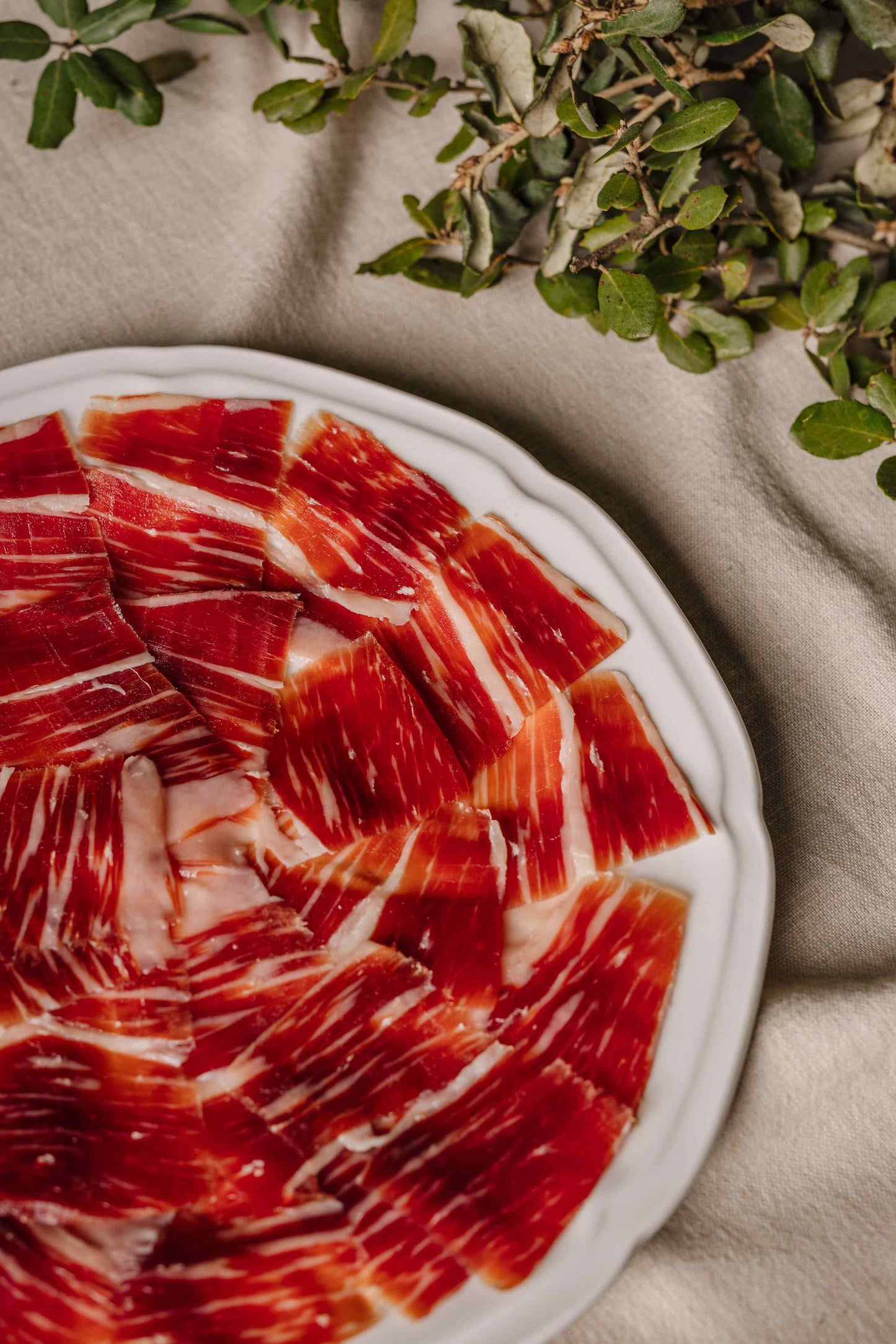 Presunto Bolota 100% IBERICO